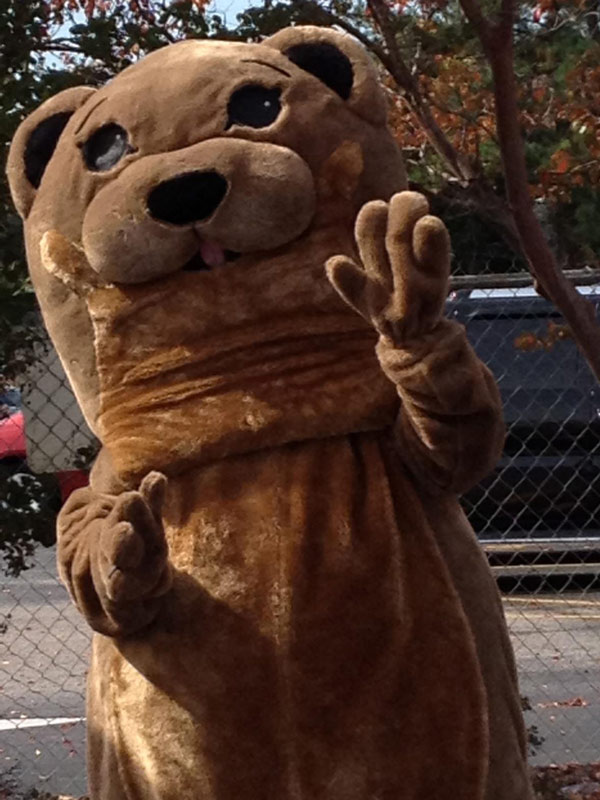 Digger the river otter